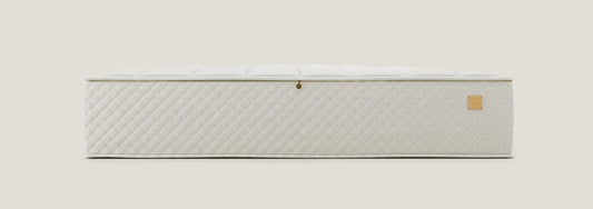 A Kiss Of The Sunlight